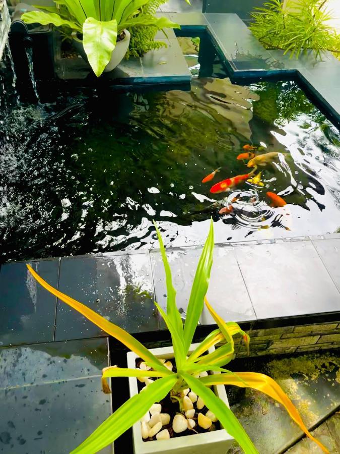 Travellers Halt Hotel Ratnapura Luaran gambar